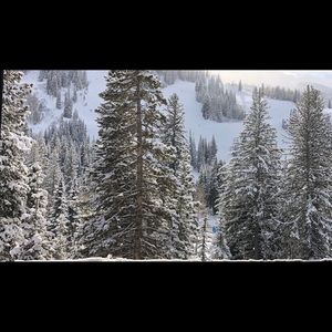 Meet your Posher, Cora